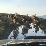 Quinta Do Passal Nyaraló