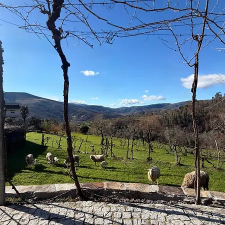 Quinta Do Passal 別荘 *