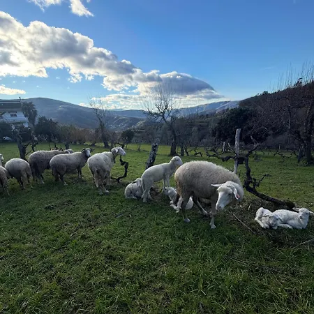 別荘 Quinta Do Passal Parada de Ester