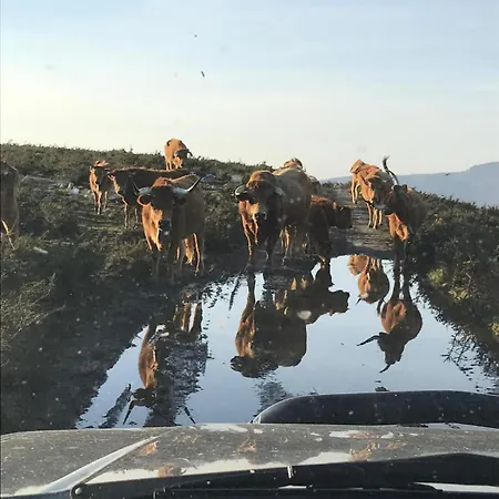 Quinta Do Passal 別荘