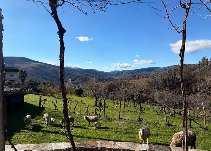 Quinta Do Passal Hébergement de vacances *