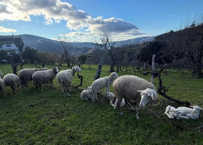 Casa vacanze Quinta Do Passal Parada de Ester