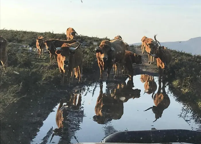 Quinta Do Passal Hébergement de vacances